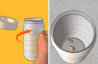 Ловушка для насекомых